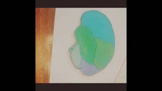 OPV 122 Brain Model