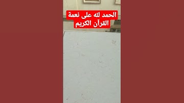 القرآن الكريم صوت جمييل لفتلة صغيرة تقرأ القرآن سورة الإخلاص تعدل ثلث القرآن