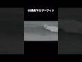 65歳おやじサーフィンのたら波