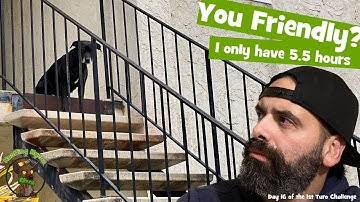 5.5 Hours Multi-Apping: How Much Money Did I Make? Walmart Spark, Instacart, Grubhub, Doordash.