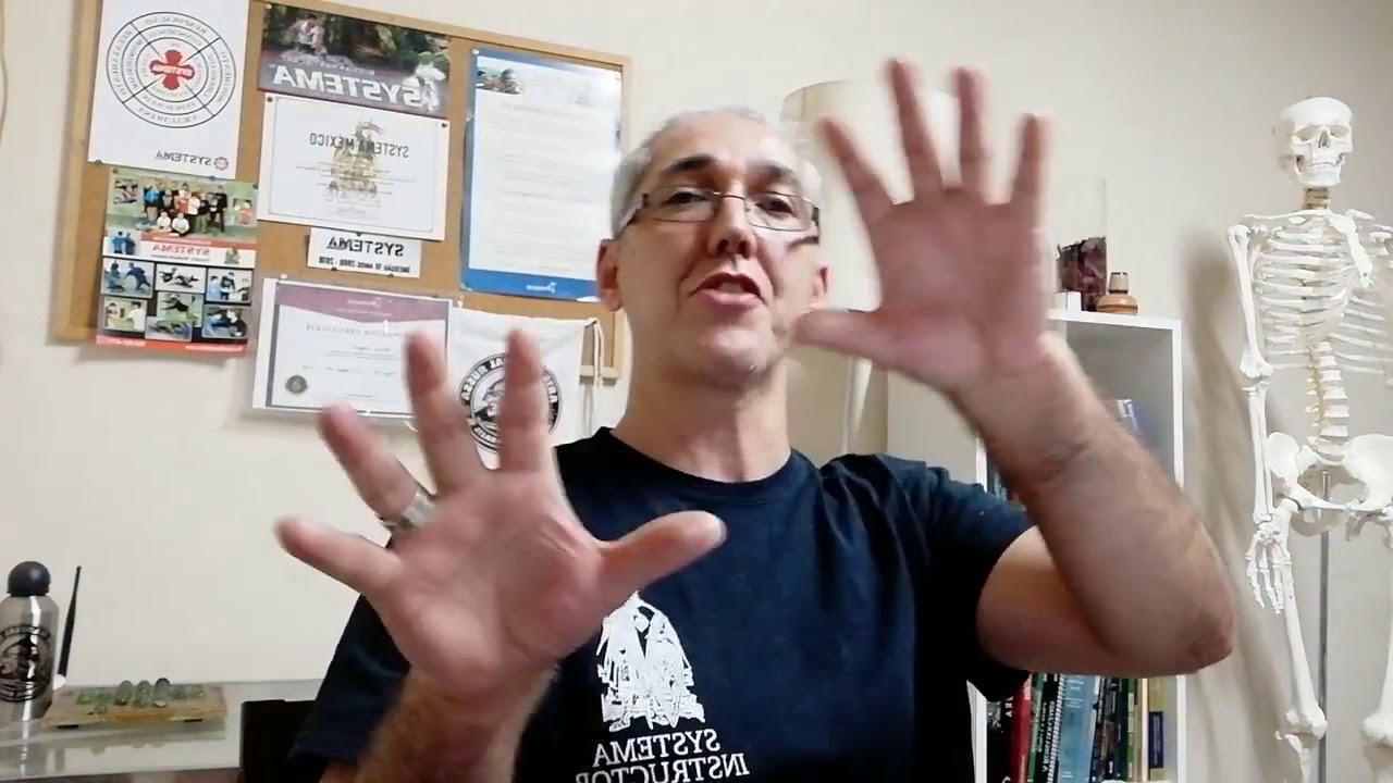 A diferença entre sambo e systema - Live - YouTube