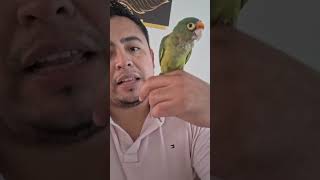 Feliz 10 de mayo 🦜 #lorito #aves #periquitos #viral