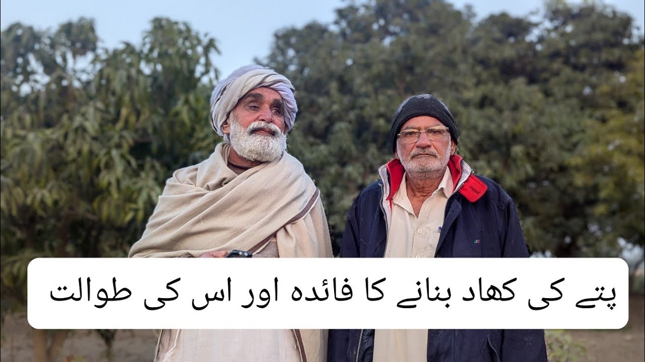 Comparison Between Organic(Leaves) And Artificial Fertilizer 