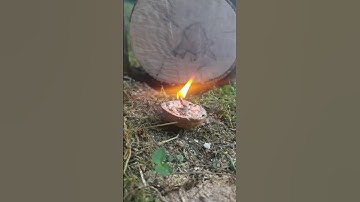 Pine resin candle in a nut shell!! #bushcraft #outdoors