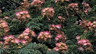 A SCENTsational Tree
