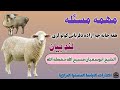            sok che da qurbanai erada lare pashto bayan