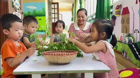 HĐTN: Bé tuốt rau ngót Lớp A3 Trường MN Hợp Lý