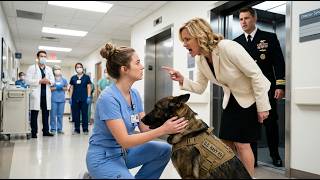 They Mocked the Quiet Nurse—Then Her Navy SEAL Husband Arrived With His Loyal K9