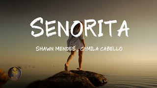 Shawn Mendes, Camila Cabello - Señorita (Lyrics)