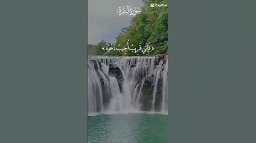 الشيخ عبدالباسط عبدالصمد]تلاوة تقشعر لها الابدان