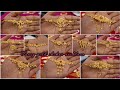 Viral 2025 gold choker necklace design with weight and price//lightweight gold choker necklac design
