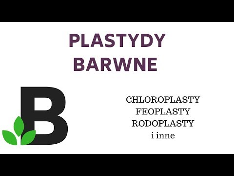 PLASTYDY barwne CHLOROPLASTY CHROMOPLASTY feoplasty rodoplasty - KOREPETYCJE z BIOLOGII - 106