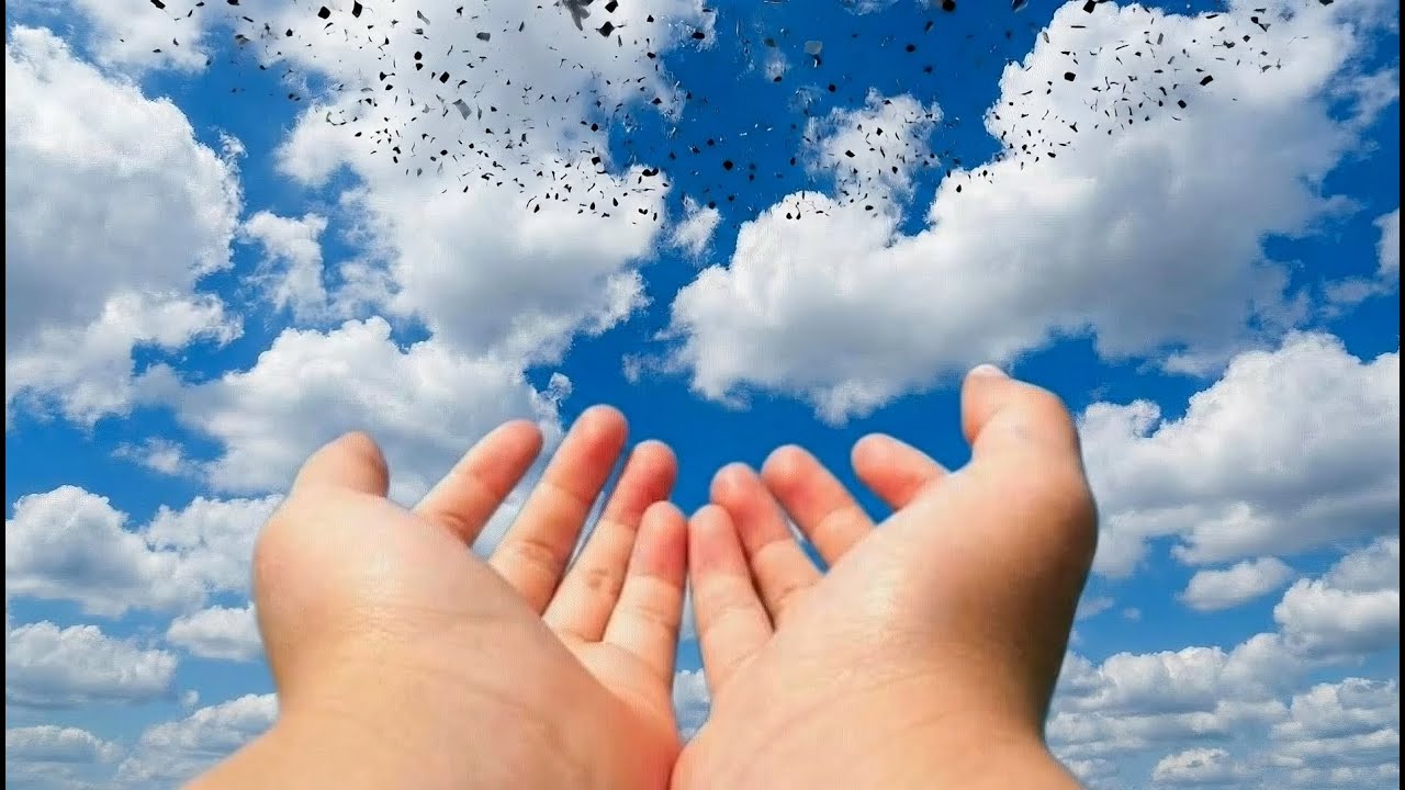 【ASMR】空から欲しいものが落ちてくる！あなたはどれを手に取りますか？The thing you want falls from the sky! Which one would you grab?