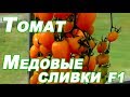 Томат Медовые сливки F1