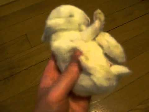 ბაჭია .mp4