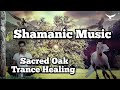 Shamanic Drumming🎧Sacred Oak Tree | Longevity, Strength, Stability, Endurance.