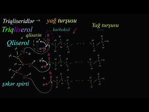 Video: Makromolekulların molekulyar strukturları hansılardır?