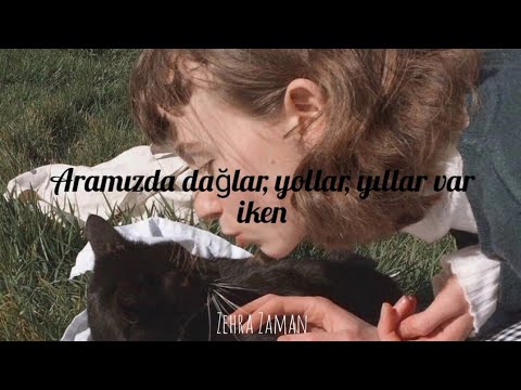 Deniz Tekin -