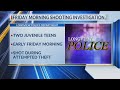 2 teens shot by resident while committing theft in Longview, police say