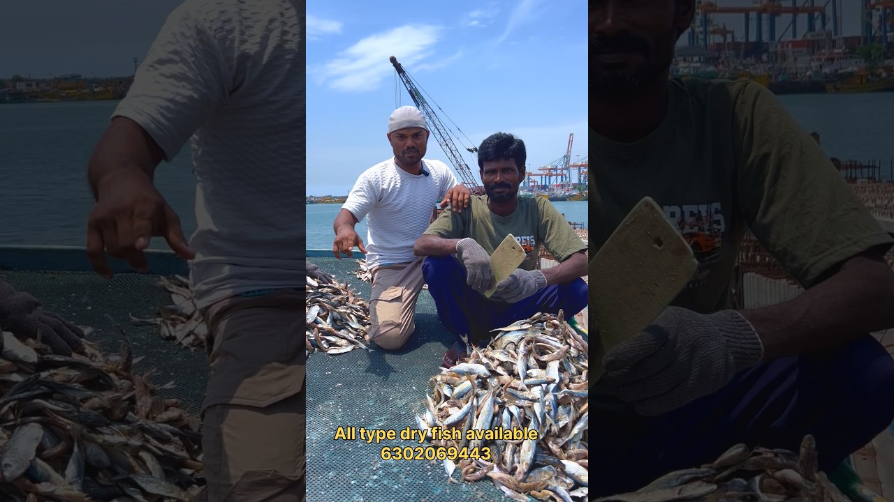 All sea food available #viralvideo #food #streetfood #vizag #hyderabad #fishing #fishboat #fish