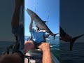 Huge King and SAILFISH caught from kayak! #fishingvideo #saltwaterfix #fishing #sailfishing