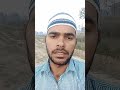 Pawarholakhalidhobijatimere Islamicstoriesinurduandhindi Aajkasonekabhavbataen Duet 