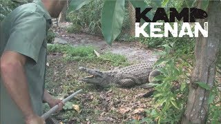 Nile Crocodile in Backyard! Kamp Kenan S1 Episode 3
