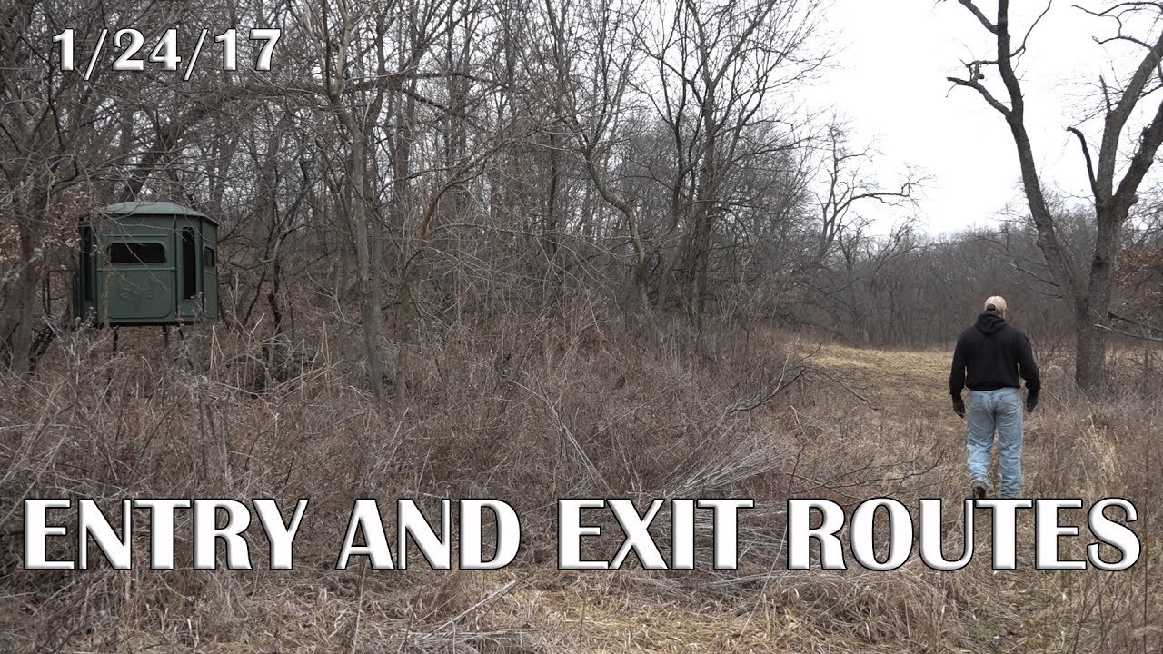 Entry & Exit Routes - Winke's Blog