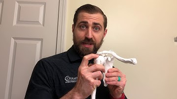 How Scapular Retraction (External Rotation) Affects the Rotator Cuff and Subacromial Space