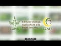 Climate Change, Agriculture and Food Security (CCAFS)