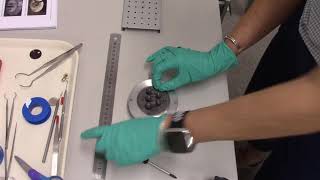 Carbon Coater