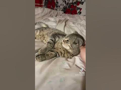 фантастична жінка🥰 - YouTube