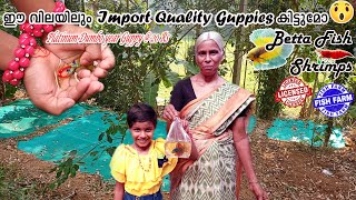 Guppy Farm With Lowest Price in India 😱 | Guppies, Betta Fishes &amp; Shrimps | Starts at 5 Rs