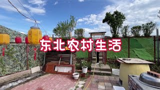 东北农村生活小院正式开始种菜苗这天气真是太给力了