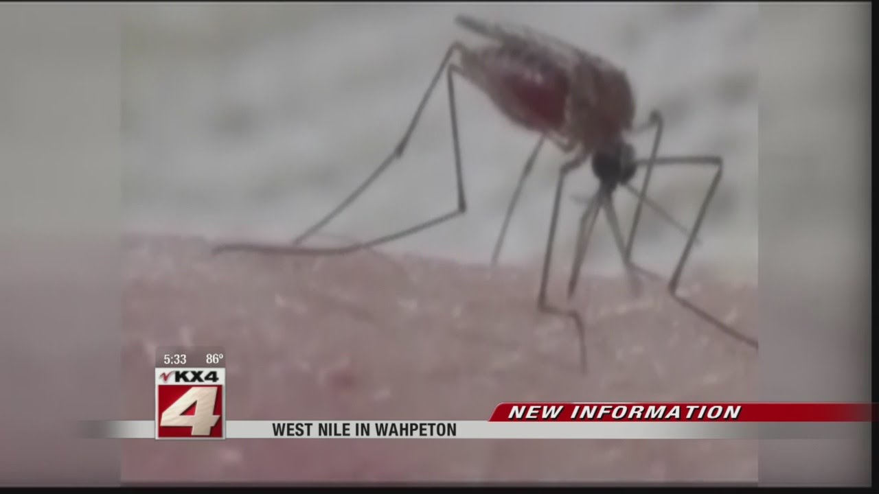 Wahpeton: No new positive tests for West Nile virus
