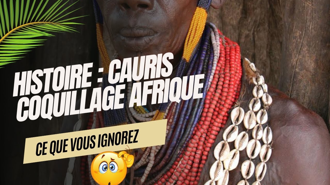 HISTOIRE : CAURIS COQUILLAGE AFRIQUE #kongo