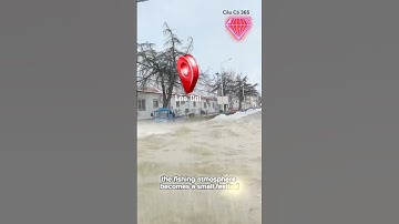 Bắt Cá Sau Những Trận Mưa Bão #tintuc #fishing #amazing #cauca365 #short