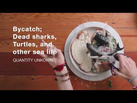 Greenpeace Tuna campaign featuring Laura Wells