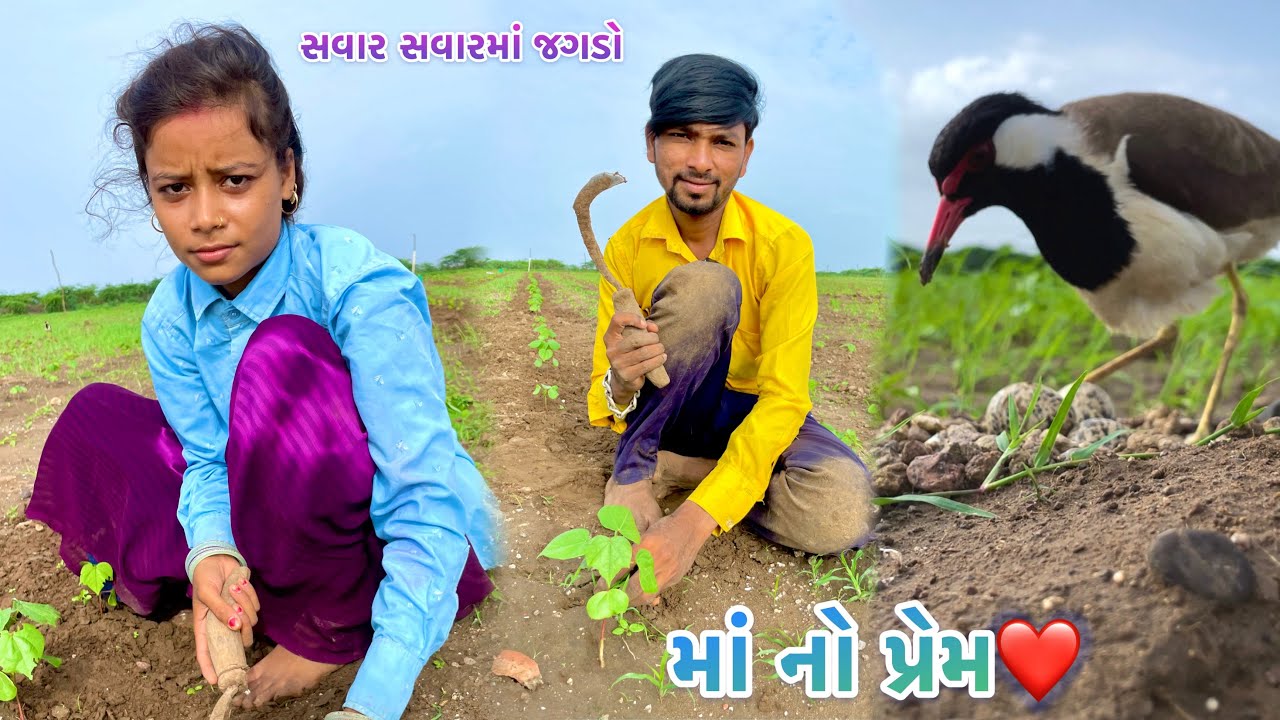 સવાર સવારમાં જગડો // SAVAR SAVARMA  JAGADO,Maa No Prem 🥰