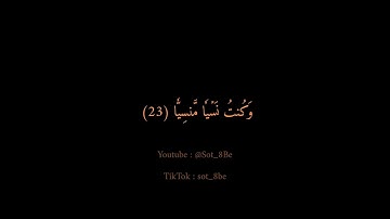 أَلَّا تَحۡزَنِي ❤️‍🩹🎧/ سورة مريم / القارئ : زين العابدين الحديدي