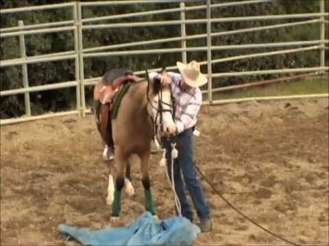 Video: At What Age Is It Better To Trim The Bridle On The Tongue