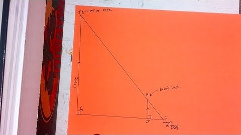 Finding the Height of a Tree Using Similar Triangles (Guest Starring Jelly Puddle)