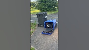 HOW TO STOP THOSE TRASH BARRELS BY THE ROAD FROM FALLING OVER !! #smartideas #trashcan #clever