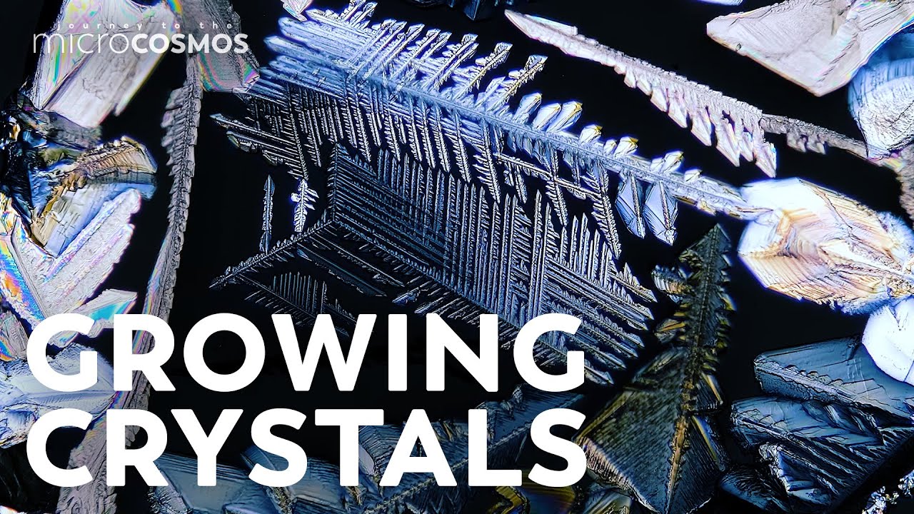 We Accidentally Grew Crystals