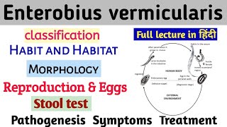 Enterobius vermicularis, amelyet a betegség termel. A Magyarországon előforduló féregfertőzések
