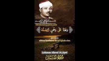 ووصينا الإنسان بوالديه حملته أمه وهنا على وهن| تلاوة جميلة من سورة لقمان |الشيخ عبد الباسط عبد الصمد