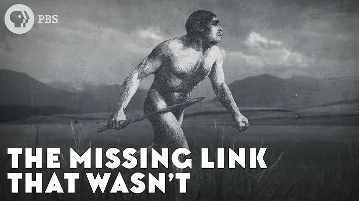 The Missing Link That Wasnt