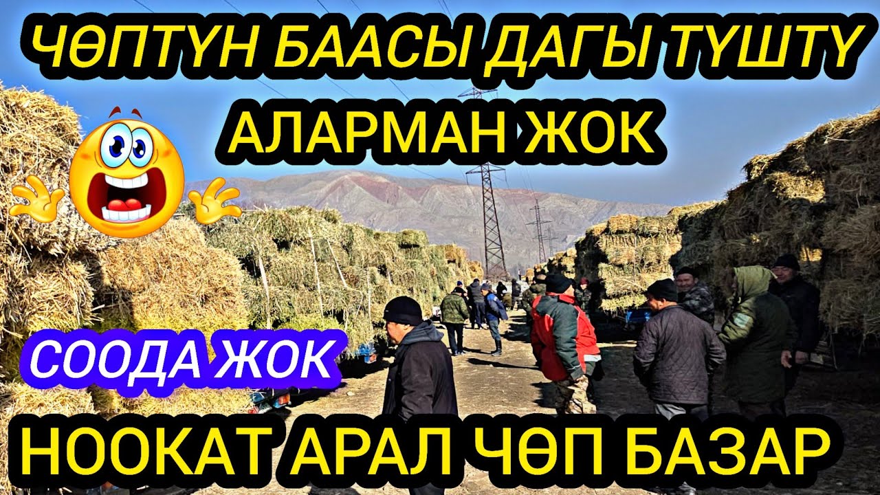 АРАЛ ЧӨП БАЗАР ЧӨПТҮН БААСЫ ДАГЫ ТҮШТҮ АЛАРМАН ЖОК😱😱#байкж 