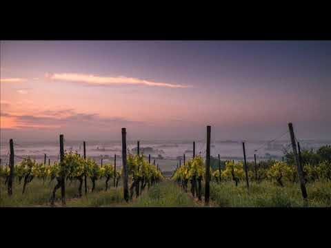 MD muzica moldoveneasca 2019 colaj