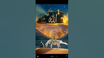 قران كريم راحه نفسيه #duet #المشيشي #اكسبلور #دويتو #beautiful #love #تيك_توك